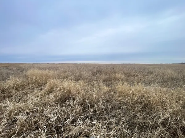 $112,000 | Tbd 170th Street Northwest, Thief River Falls, MN 56701