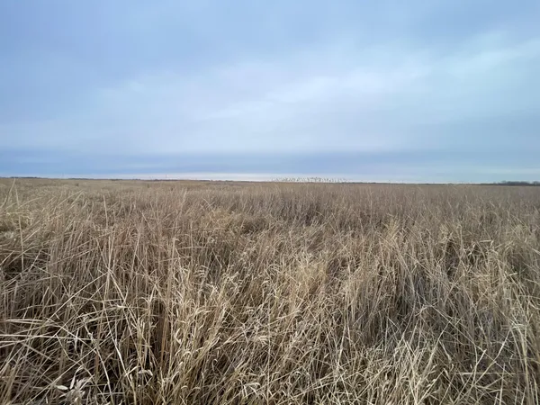 $112,000 | Tbd 170th Street Northwest, Thief River Falls, MN 56701