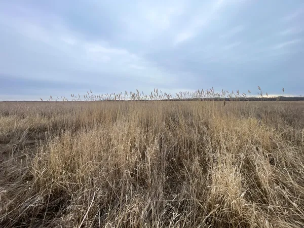 $112,000 | Tbd 170th Street Northwest, Thief River Falls, MN 56701