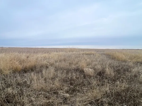 $112,000 | Tbd 170th Street Northwest, Thief River Falls, MN 56701