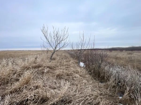 $112,000 | Tbd 170th Street Northwest, Thief River Falls, MN 56701