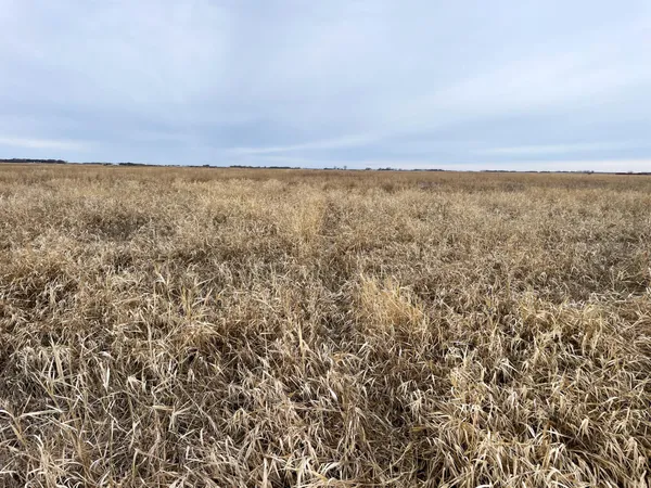 $112,000 | Tbd 170th Street Northwest, Thief River Falls, MN 56701