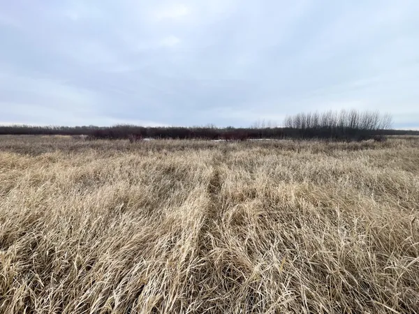 $112,000 | Tbd 170th Street Northwest, Thief River Falls, MN 56701