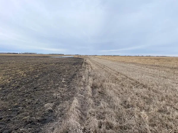 $112,000 | Tbd 170th Street Northwest, Thief River Falls, MN 56701