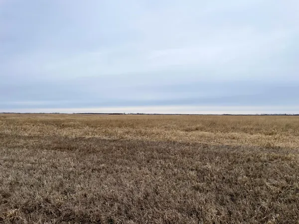 $112,000 | Tbd 170th Street Northwest, Thief River Falls, MN 56701