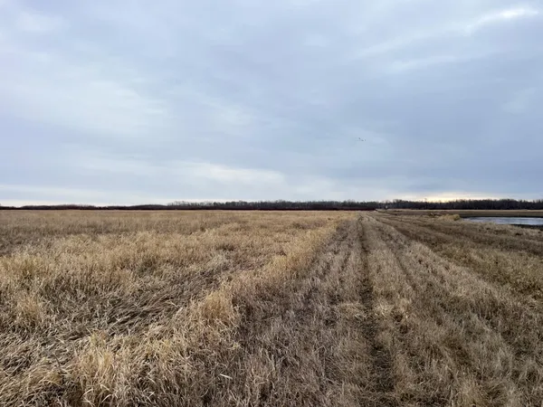 $112,000 | Tbd 170th Street Northwest, Thief River Falls, MN 56701