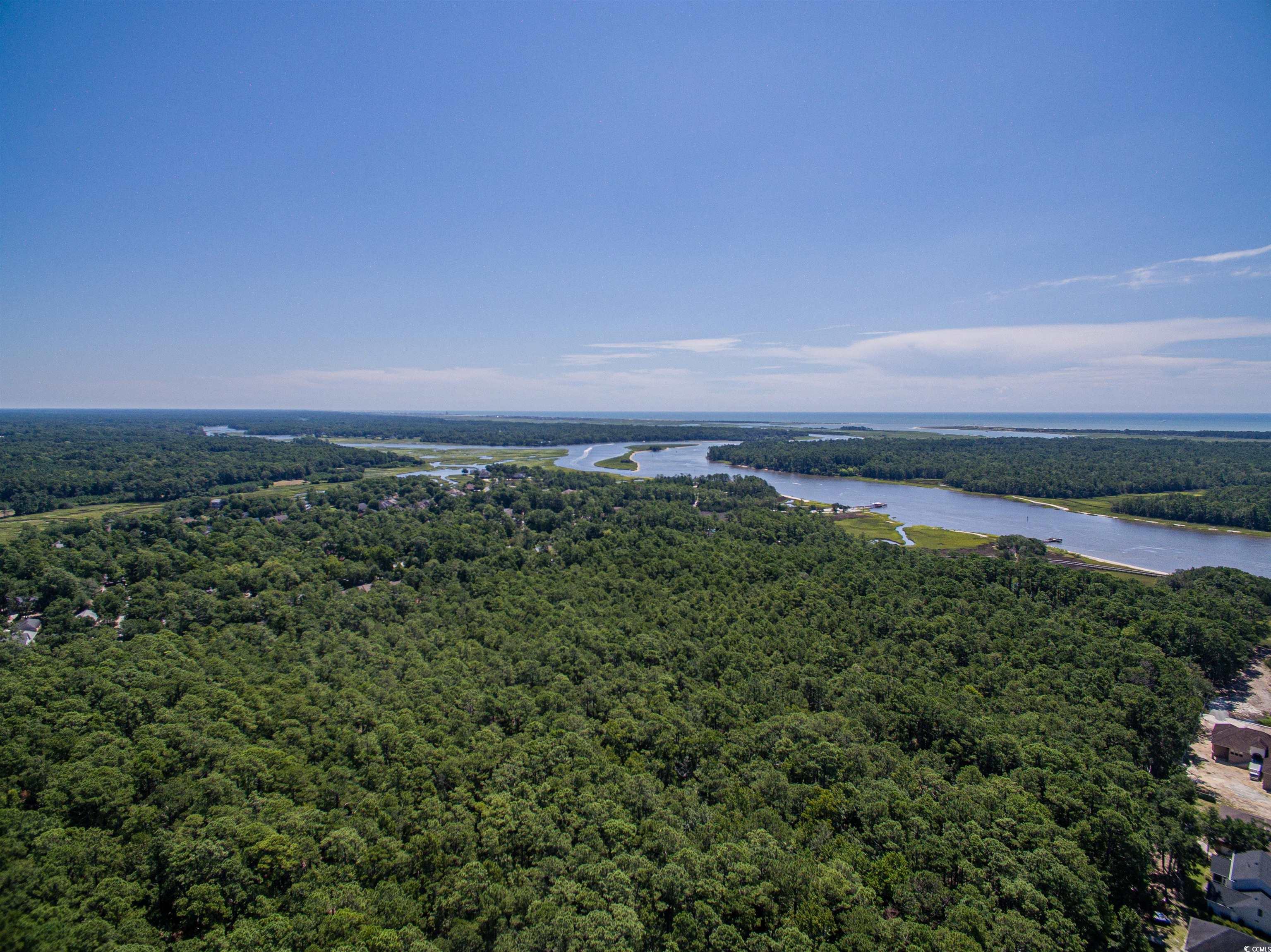 446 Sonny Road Gresham, SC 29546 - Photo 26 of 40 Drone / aerial view featuring a wooded view and a water view