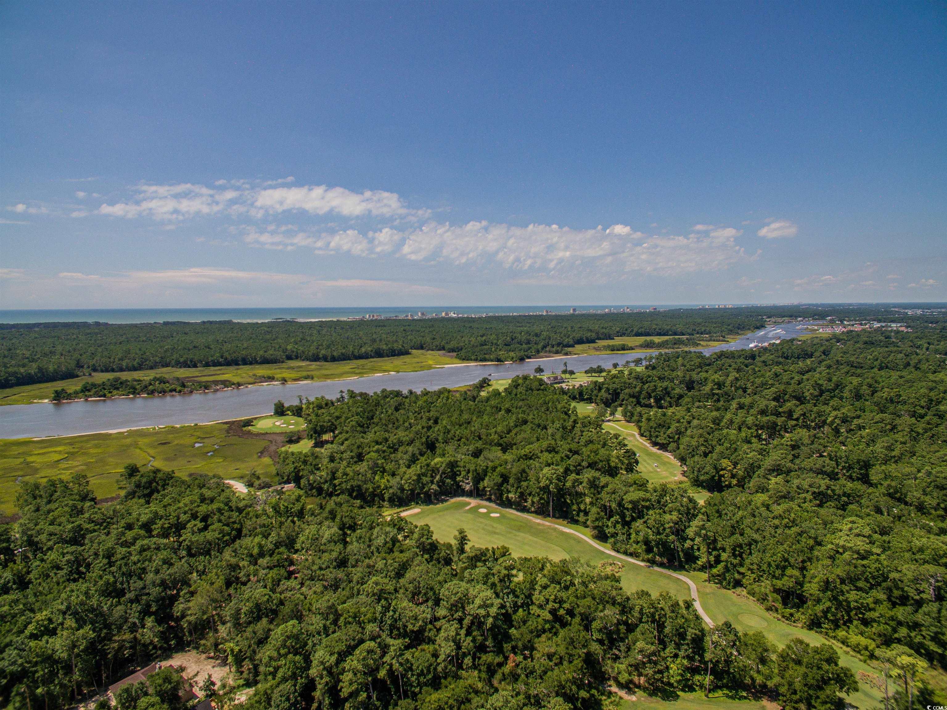 446 Sonny Road Gresham, SC 29546 - Photo 27 of 40 Drone / aerial view featuring a forest view, a water view, and golf course view