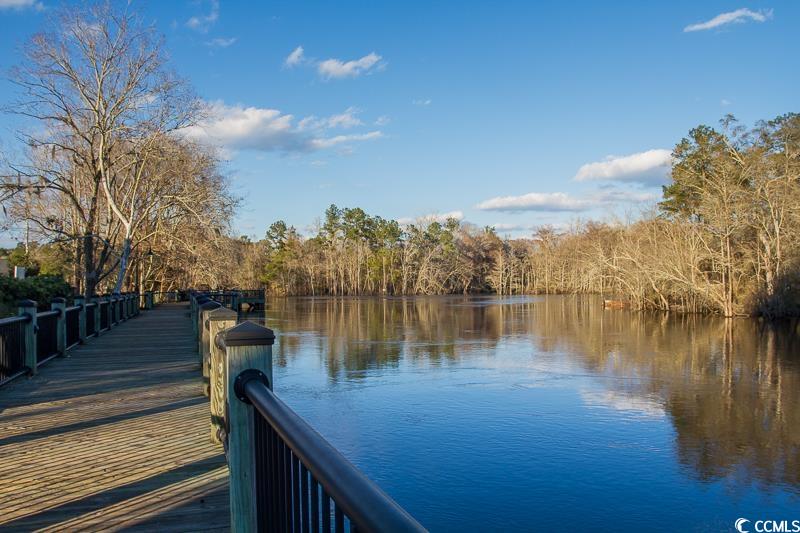 446 Sonny Road Gresham, SC 29546 - Photo 30 of 40 View of dock featuring a wooded view and a water view
