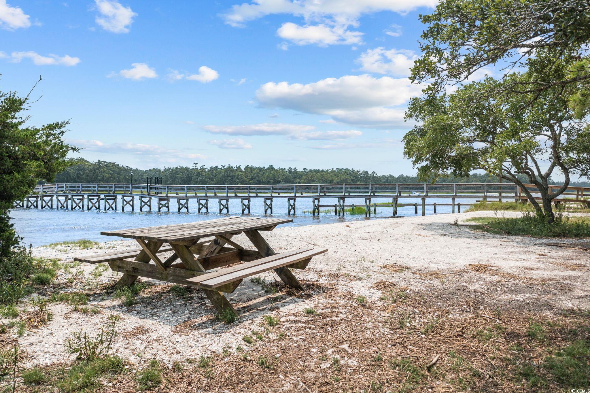 446 Sonny Road Gresham, SC 29546 - Photo 32 of 40 View of community featuring a boat dock and a water view