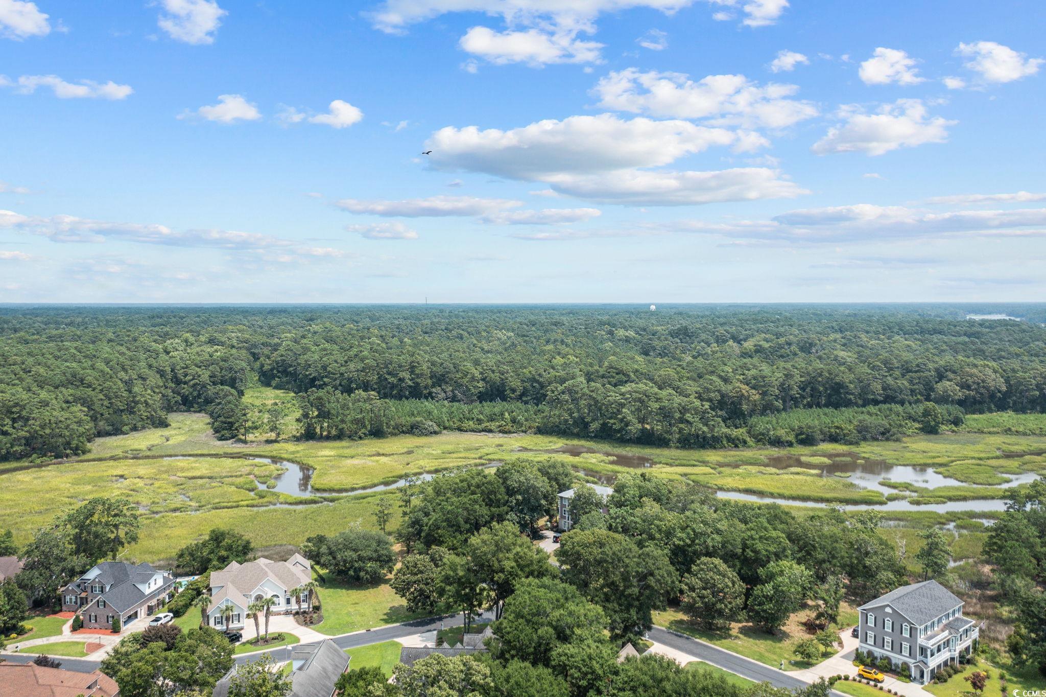 446 Sonny Road Gresham, SC 29546 - Photo 39 of 40 Aerial view featuring a view of trees and a water view