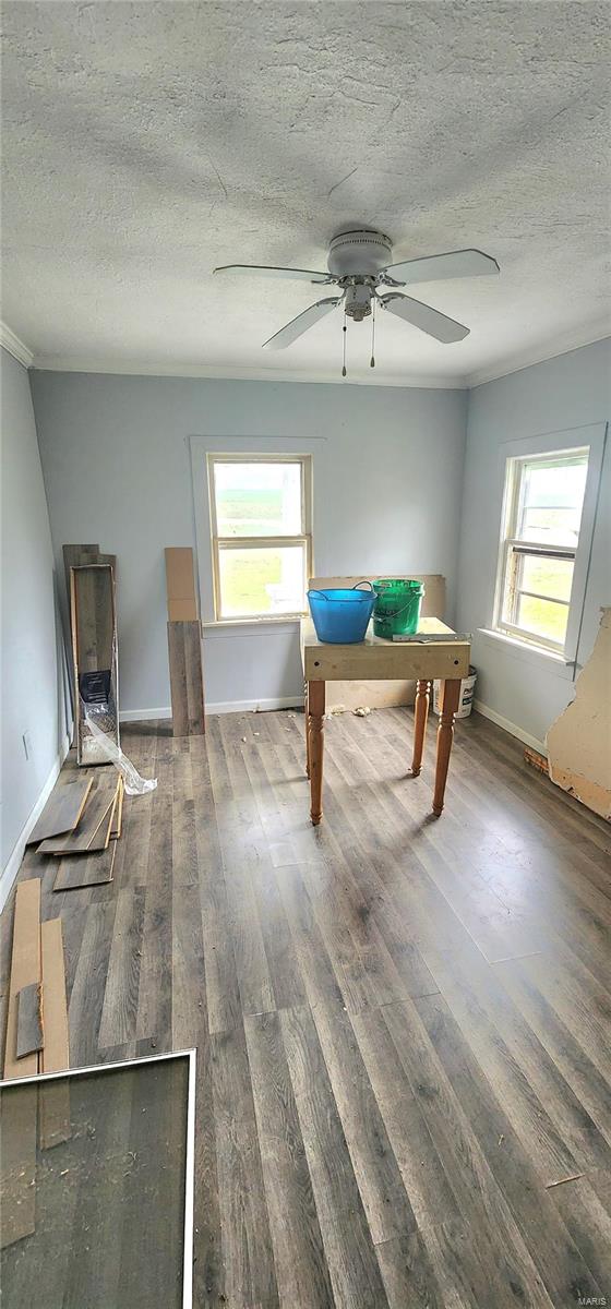 2830 State Street Chester, IL 62233 - Photo 7 of 18