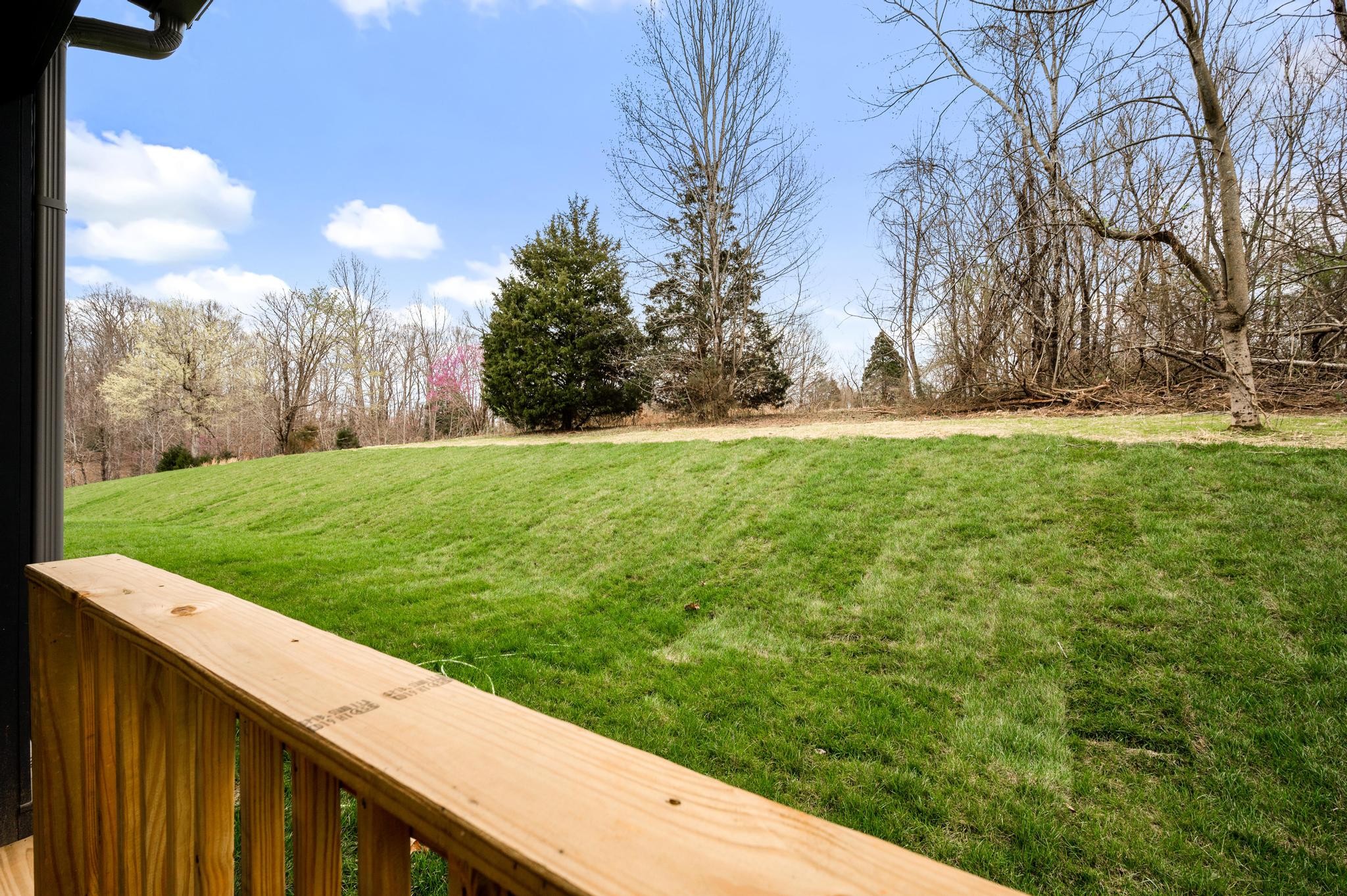 157 Lena Loop Burns, TN 37029 - Photo 30 of 49 a view of a backyard with wooden fence
