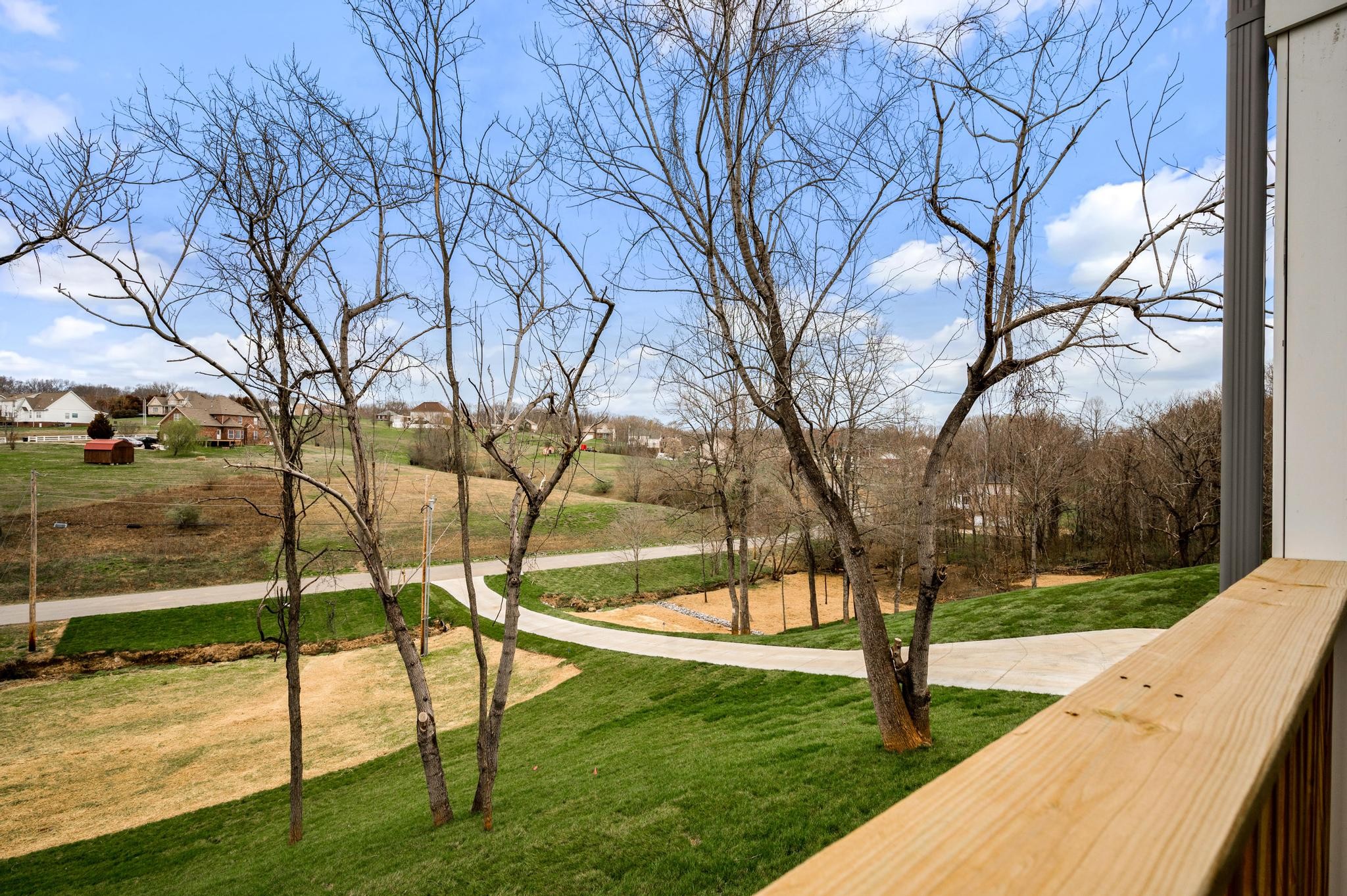 157 Lena Loop Burns, TN 37029 - Photo 3 of 49 a view of yard with tree