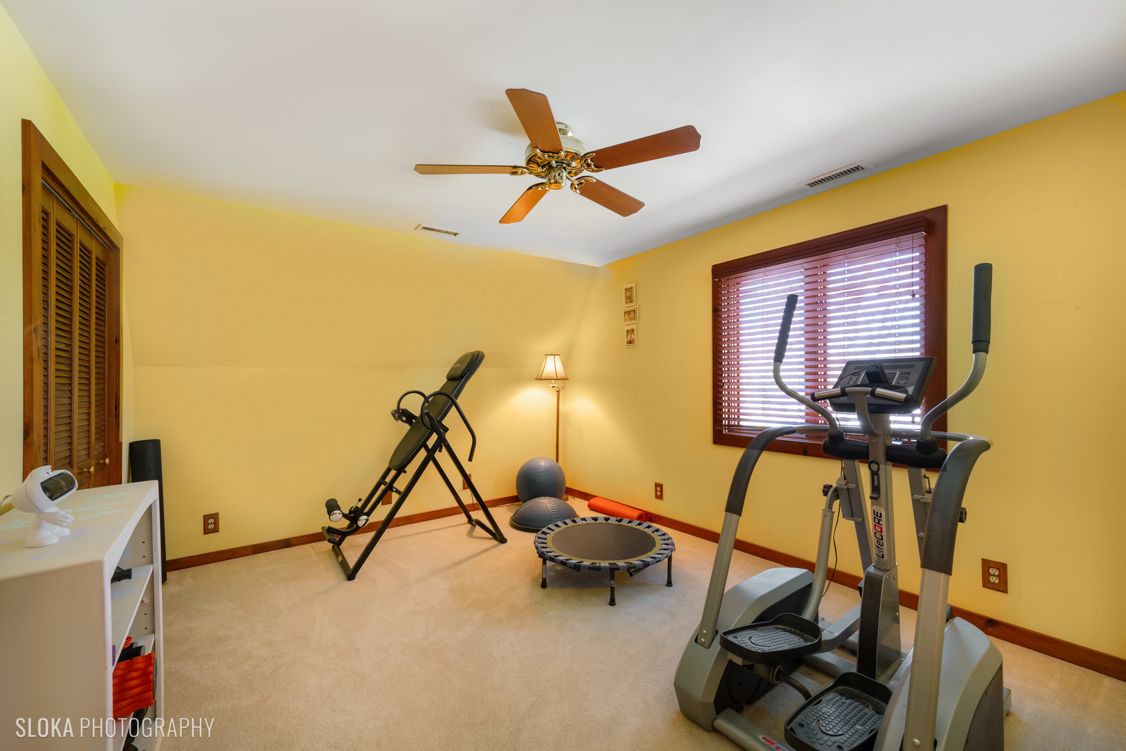 2401 West Wright Road Prairie Grove, IL 60012 - Photo 35 of 60 a room with gym equipment and windows