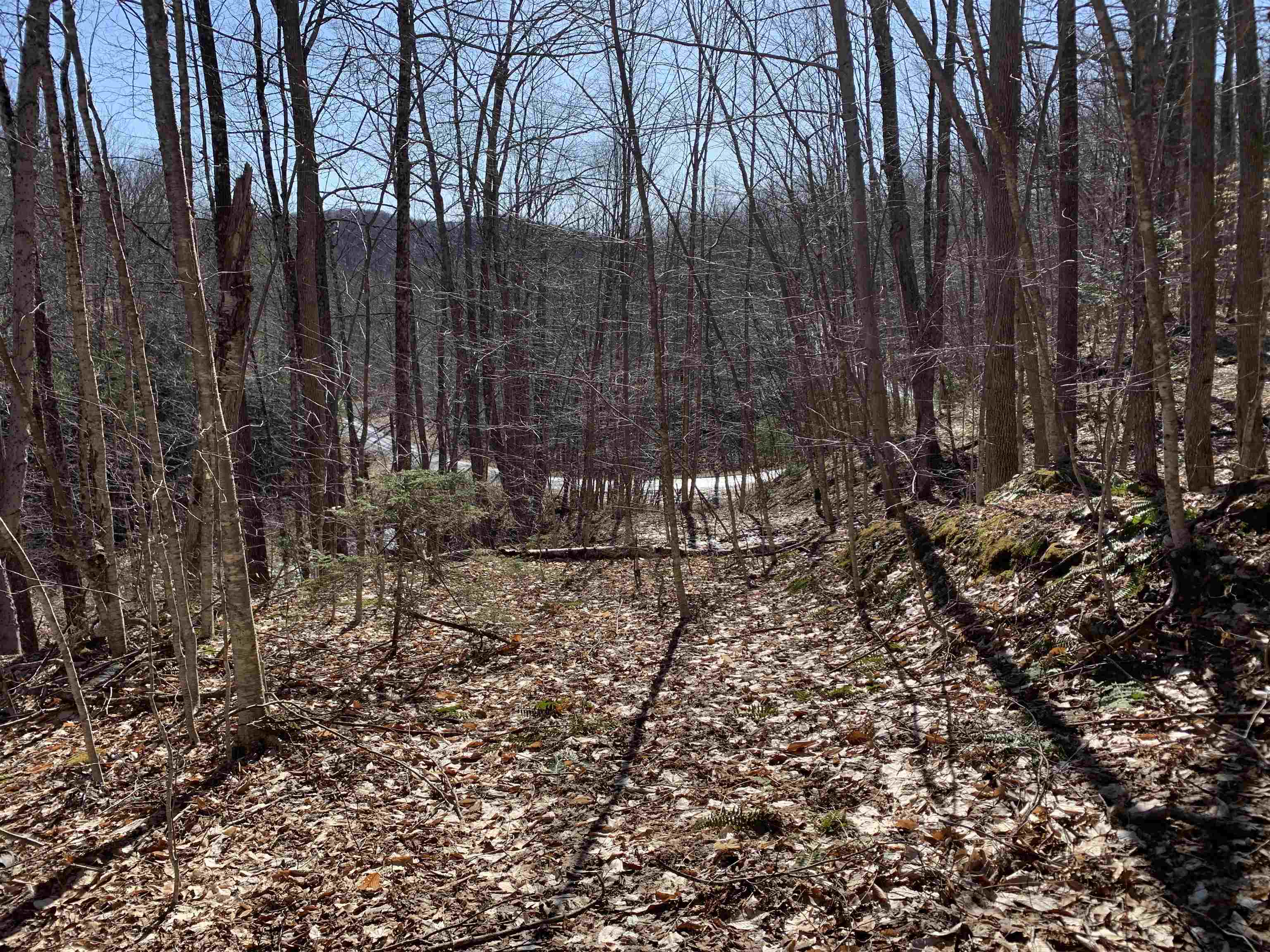 0 Stone Chimney Road Reading, VT 05062 - Photo 2 of 11