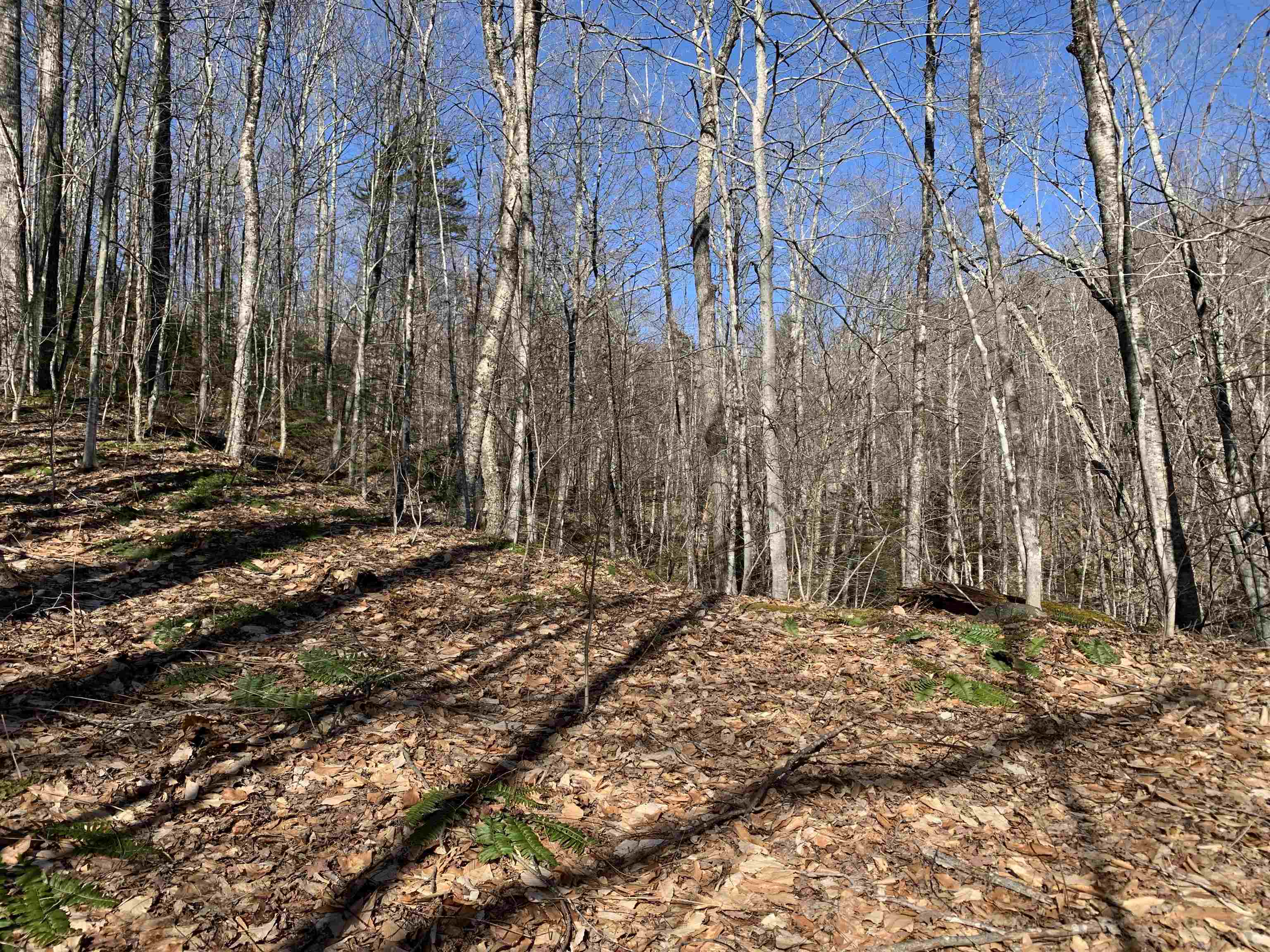 0 Stone Chimney Road Reading, VT 05062 - Photo 3 of 11