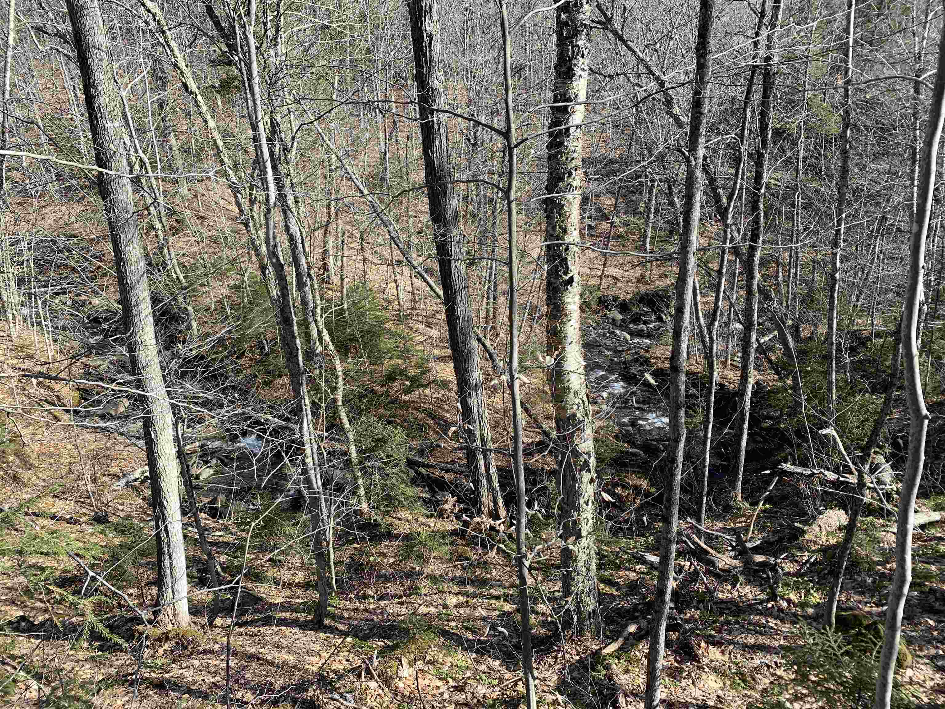 0 Stone Chimney Road Reading, VT 05062 - Photo 4 of 11