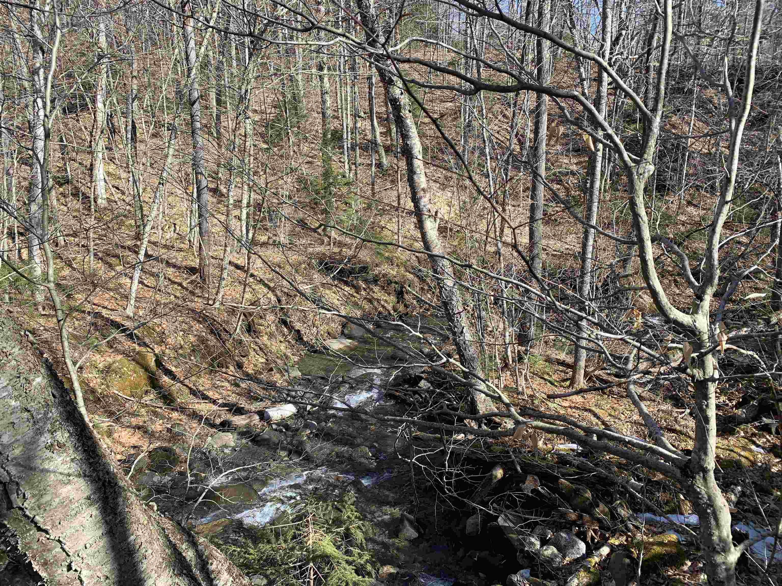 0 Stone Chimney Road Reading, VT 05062 - Photo 5 of 11