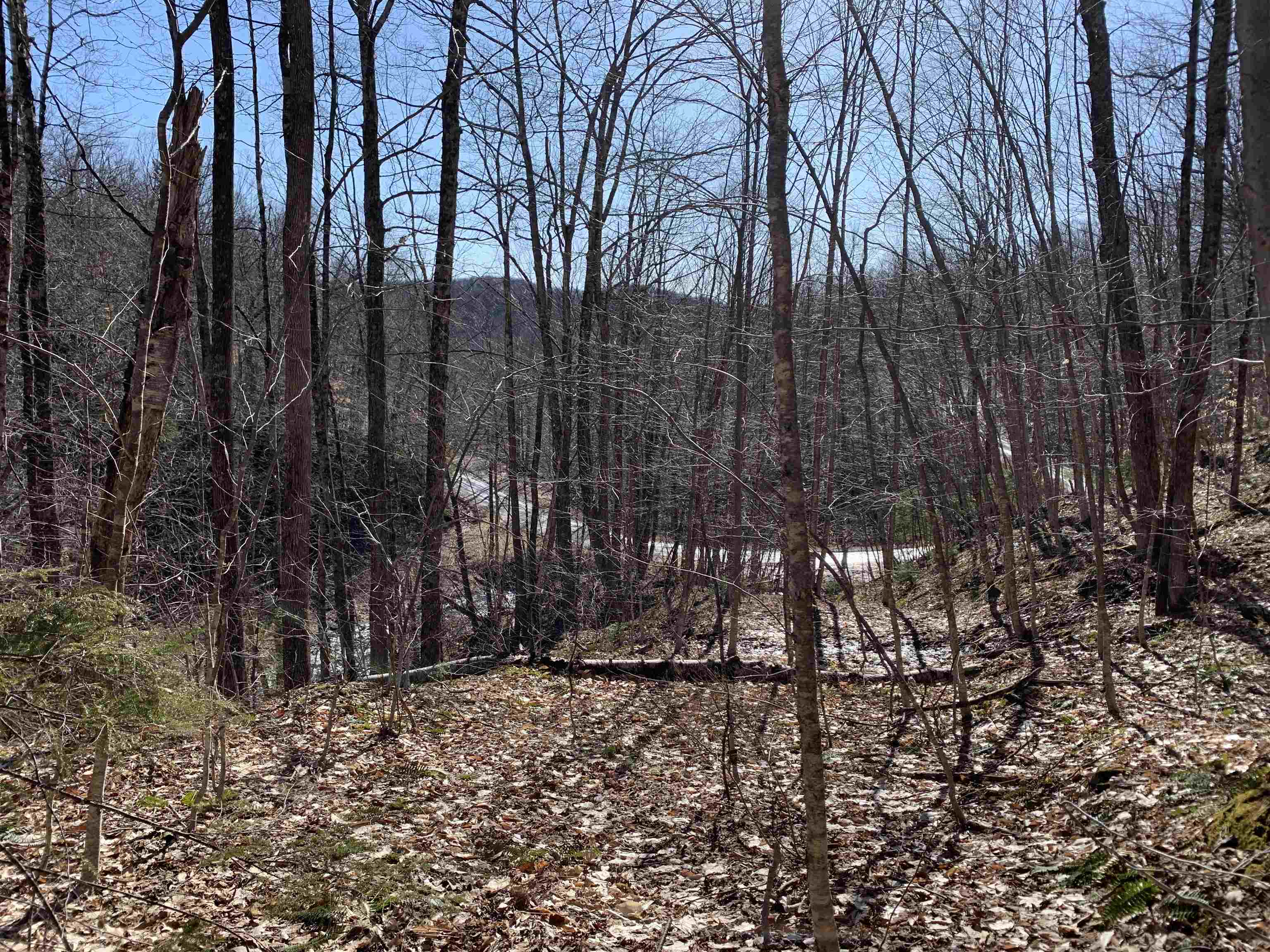 0 Stone Chimney Road Reading, VT 05062 - Photo 6 of 11