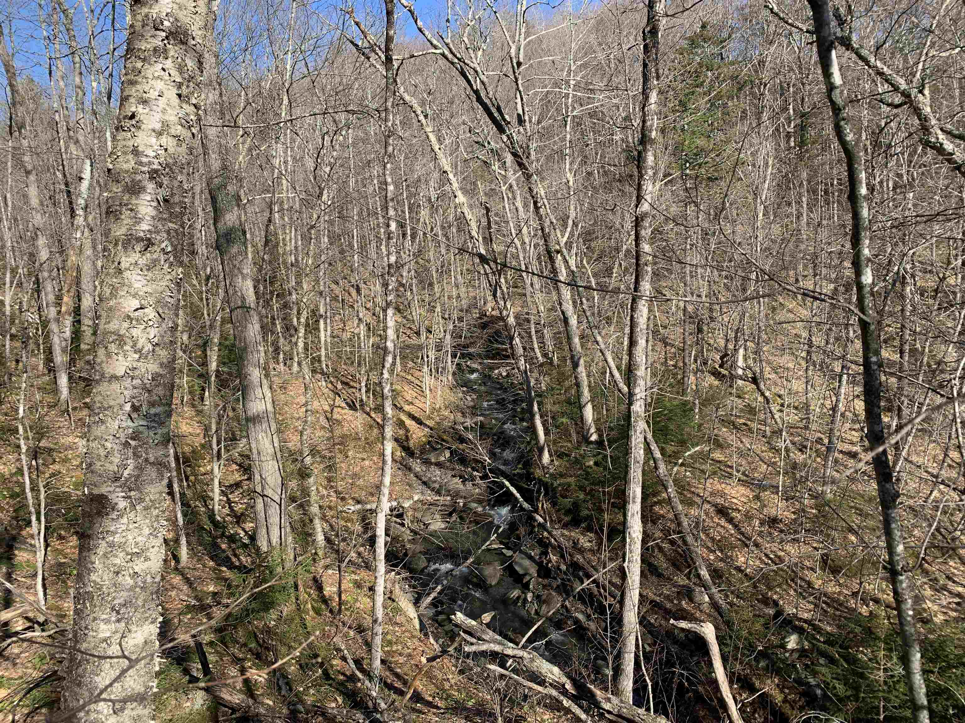 0 Stone Chimney Road Reading, VT 05062 - Photo 7 of 11