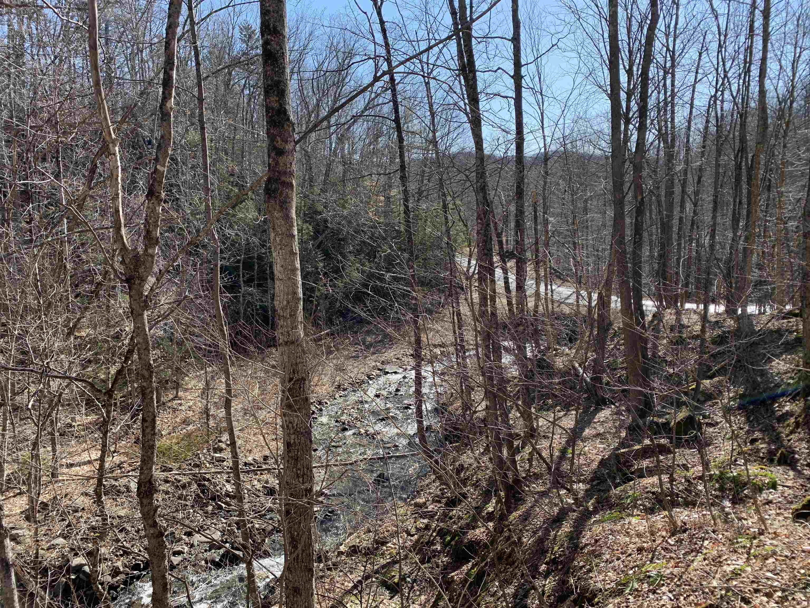 0 Stone Chimney Road Reading, VT 05062 - Photo 8 of 11