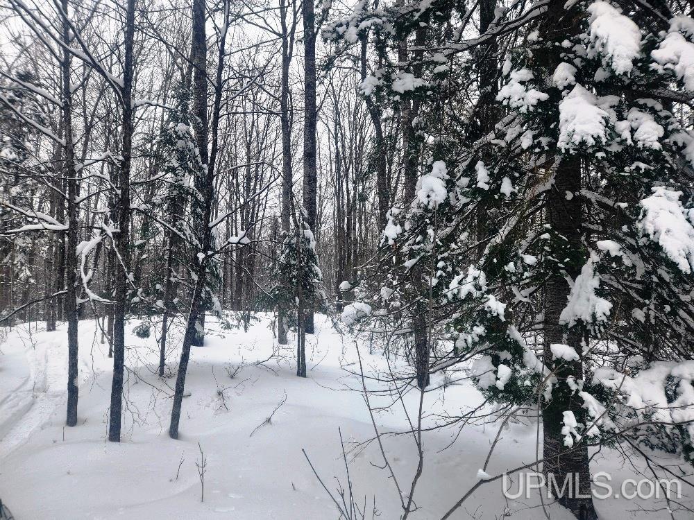 Tbd Oss Road, Unit 40 ACRES Crystal Falls, MI 49920 - Photo 4 of 18 Gallery Image 4