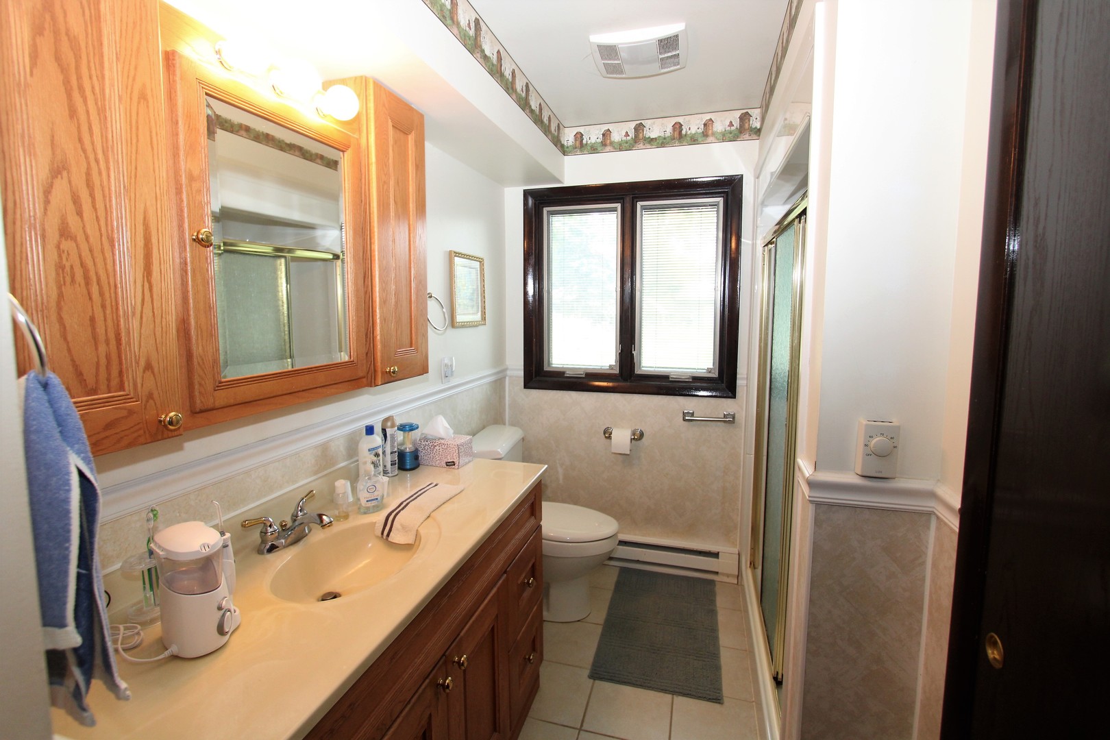23815 Hickory Lane Minooka, IL 60447 - Photo 14 of 30 a bathroom with a sink and a mirror