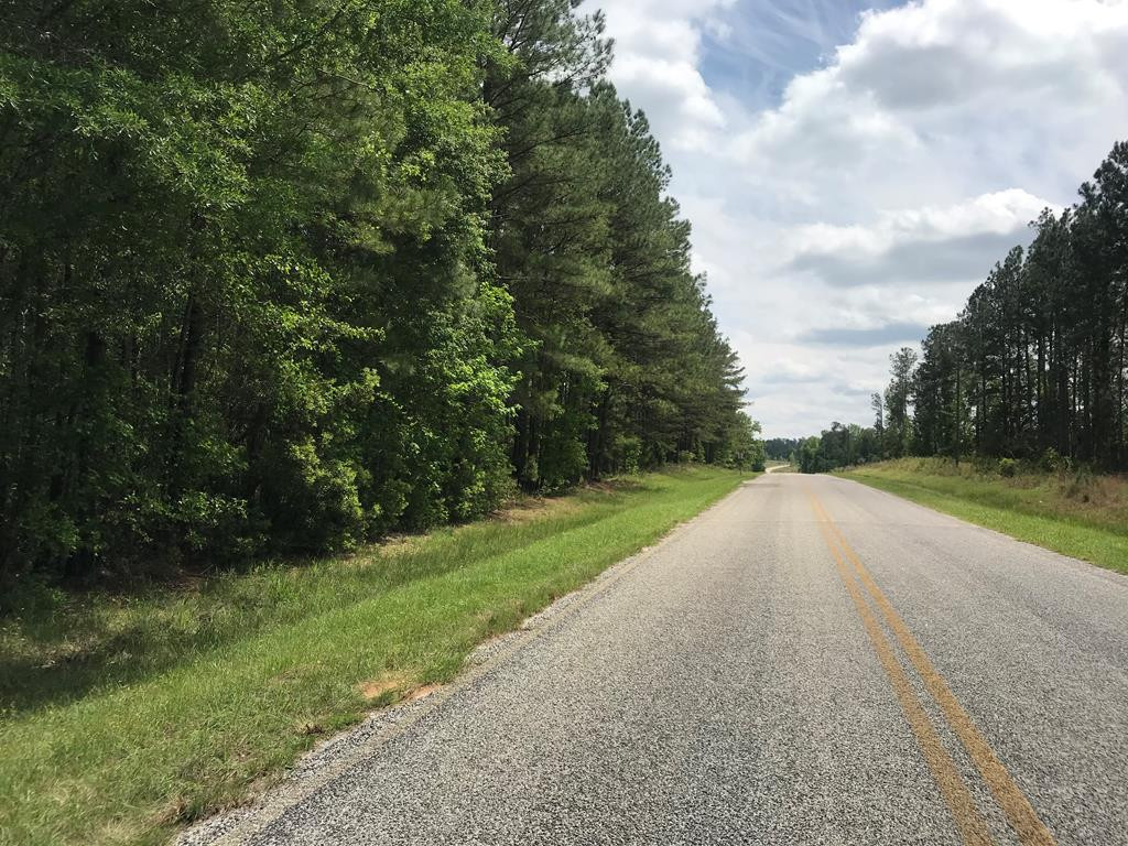 0 Habersham Church Road Millen, GA 30442 - Photo 1 of 6 Main View