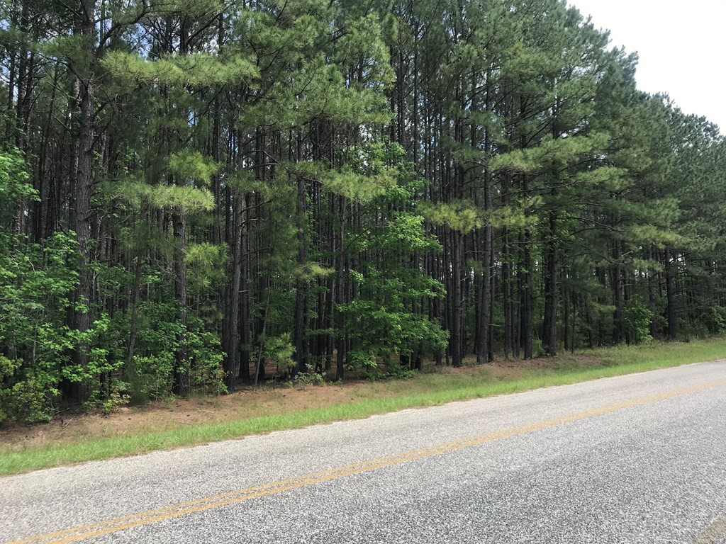 0 Habersham Church Road Millen, GA 30442 - Photo 2 of 6 Gallery Image 2