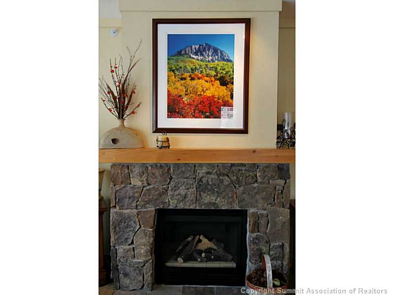910 Copper Road, Unit 327 Frisco, CO 80443 - Photo 8 of 15 Other. Just flip a switch after a great day on the slopes and you have fire. The fireplace is gas which is included in your HOA fees.
