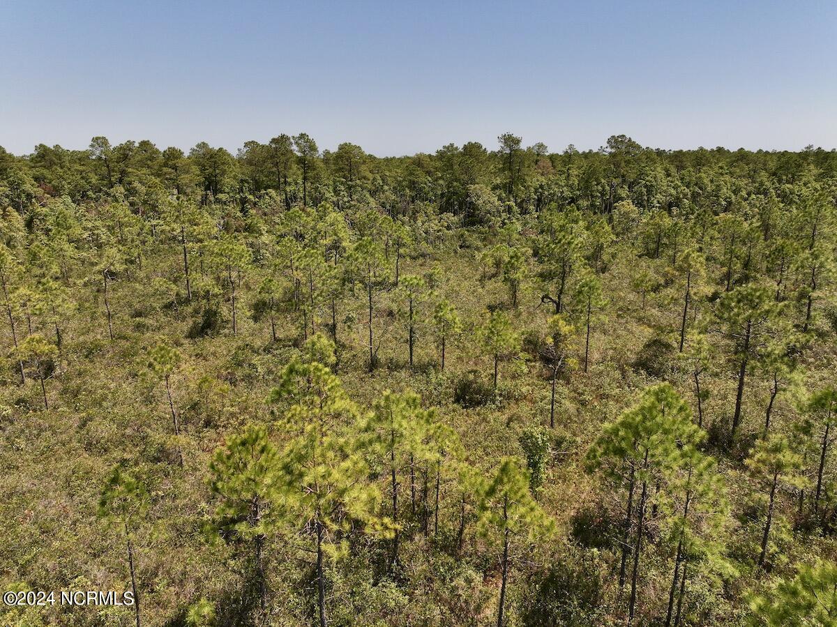 0 George Road Havelock, NC 28532 - Photo 14 of 28 13