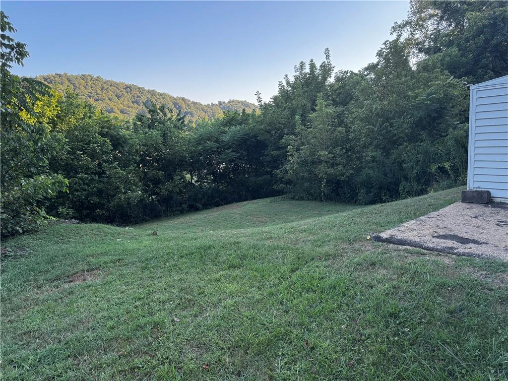 165 Low Hill Road Brownsville, PA 15417 - Photo 8 of 29 a view of a backyard