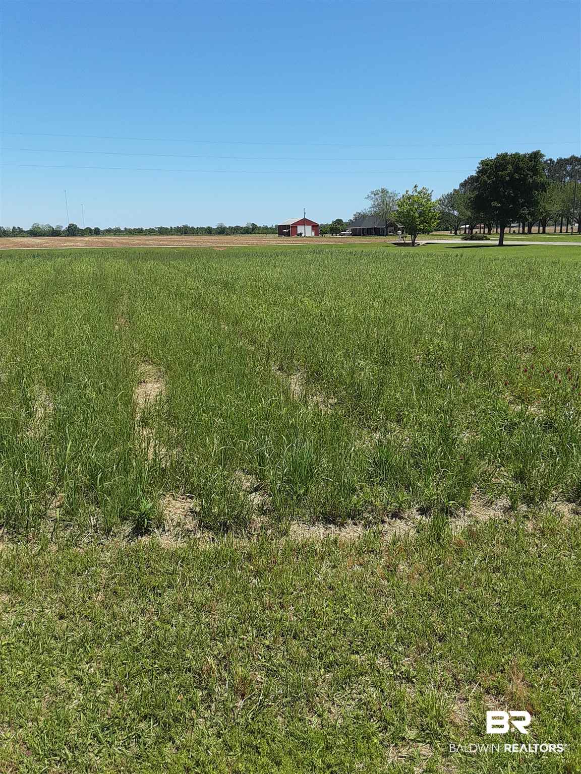0 Black Devine Road Loxley, AL 36551 - Photo 13 of 26