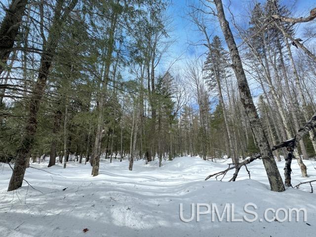 Lot 7 West Tamarack Lake Road Watersmeet, MI 49969 - Photo 5 of 11
