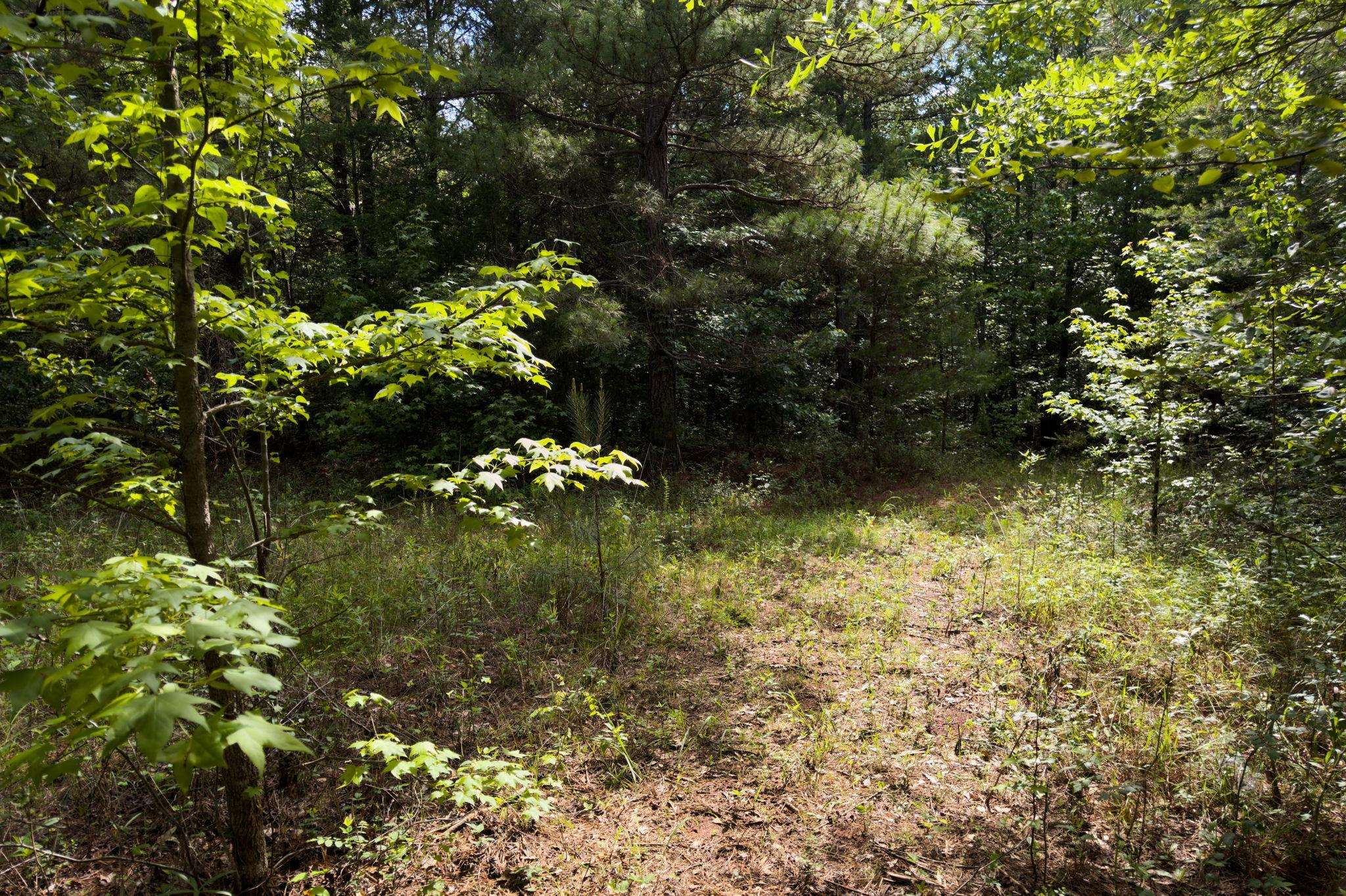 Tbd Melvin Hill Road Campobello, SC 29322 - Photo 11 of 29