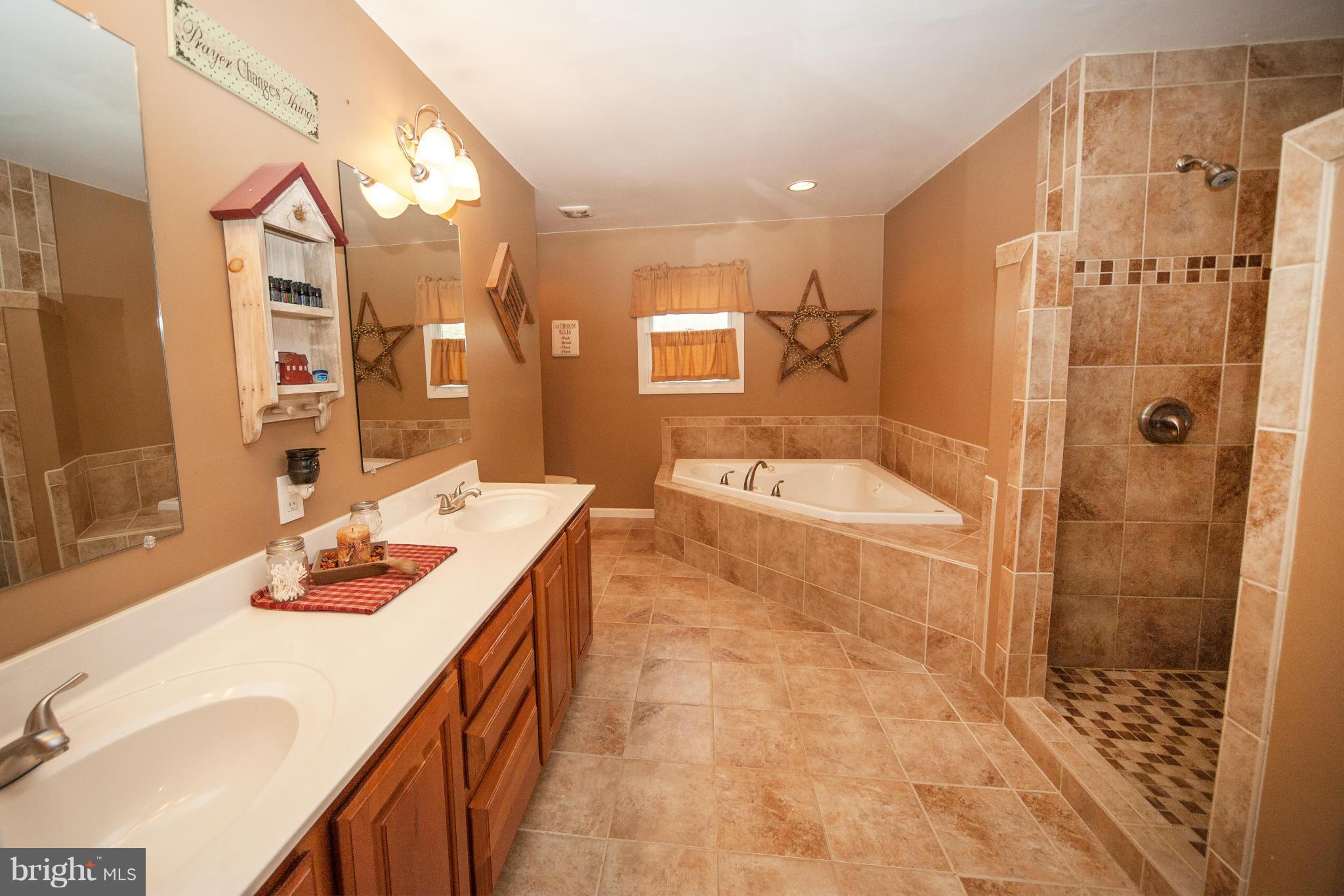 12279 Elk Run Road Midland, VA 22728 - Photo 12 of 21 Bath (Master)
