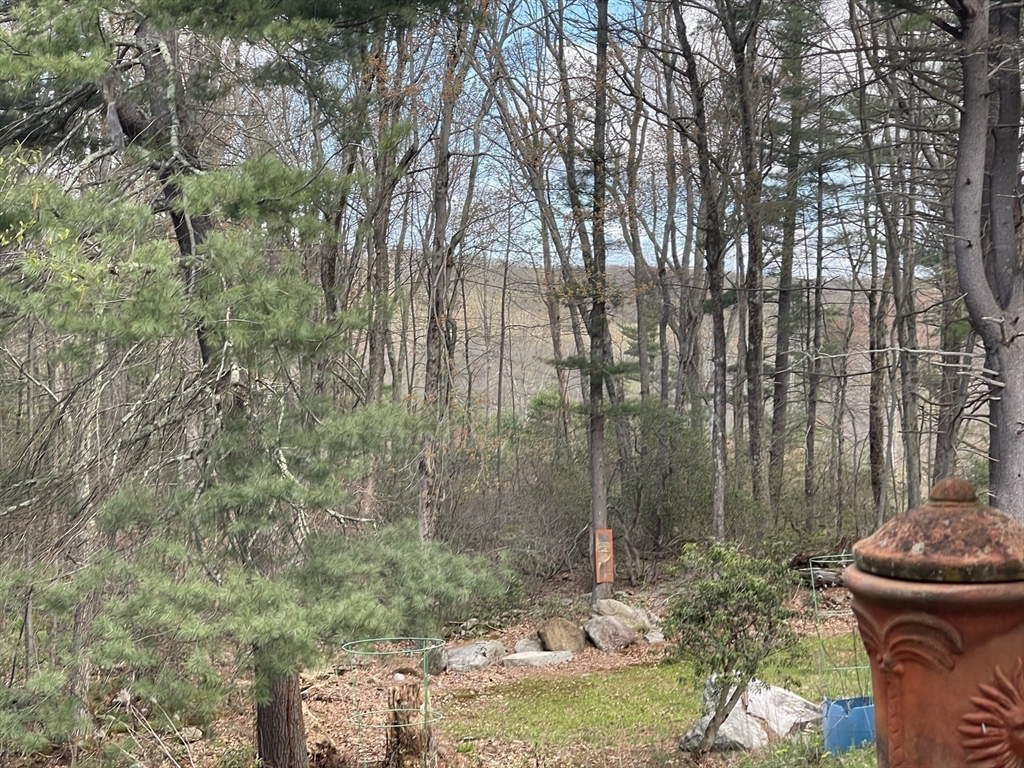 32 Hollow Road Wales, MA 01081 - Photo 32 of 35 a backyard of a house with lots of green space and fountain