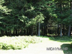 11090 Lake Julia Road Remsen, NY 13438 - Photo 7 of 11 Gallery Image 7