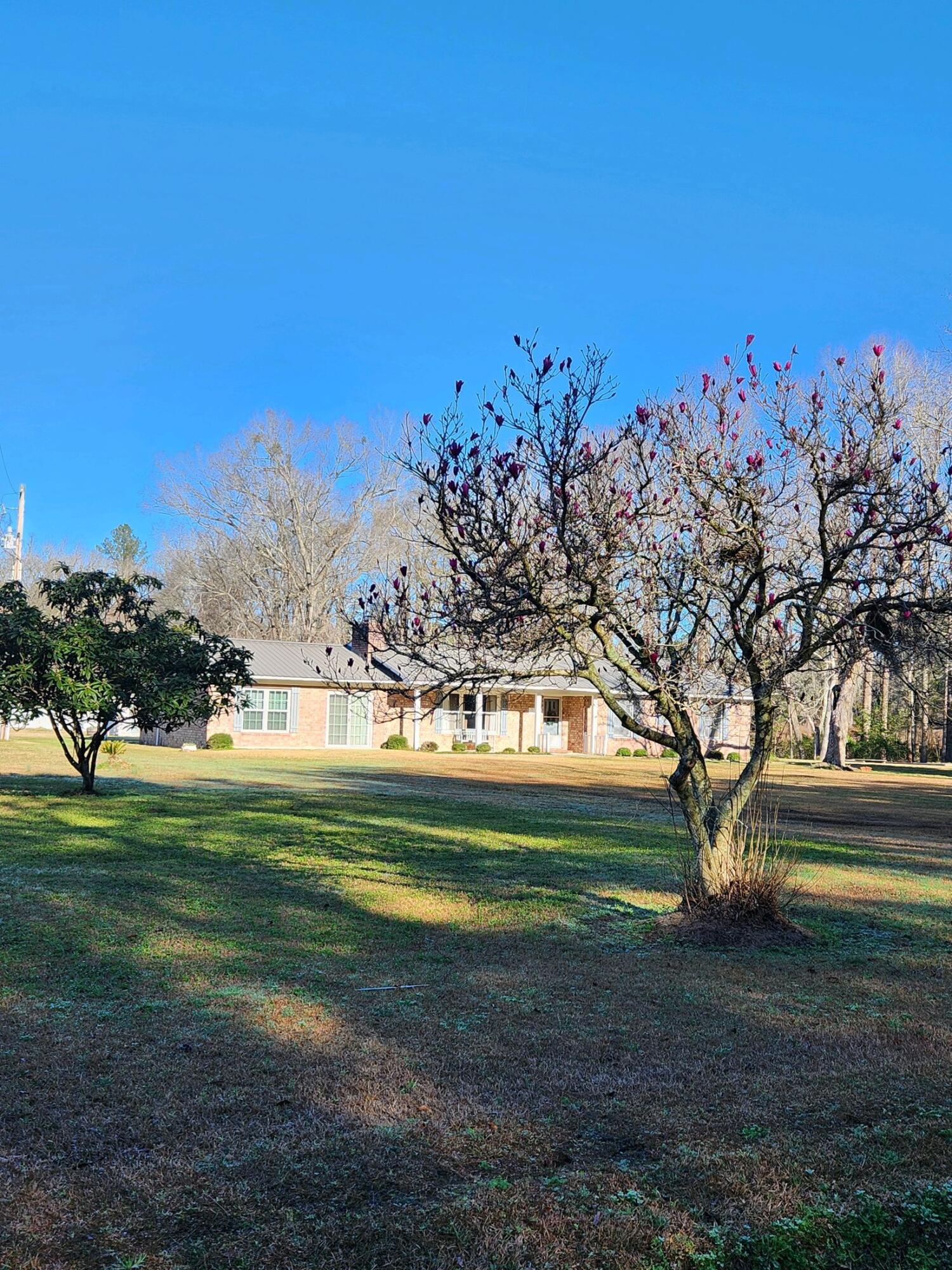 1433 Smyly Road Ruffin, SC 29475 - Photo 4 of 31 20240215_094318