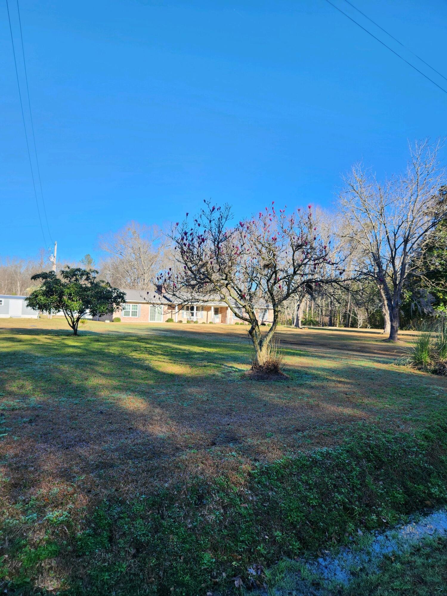 1433 Smyly Road Ruffin, SC 29475 - Photo 5 of 31 20240215_094307