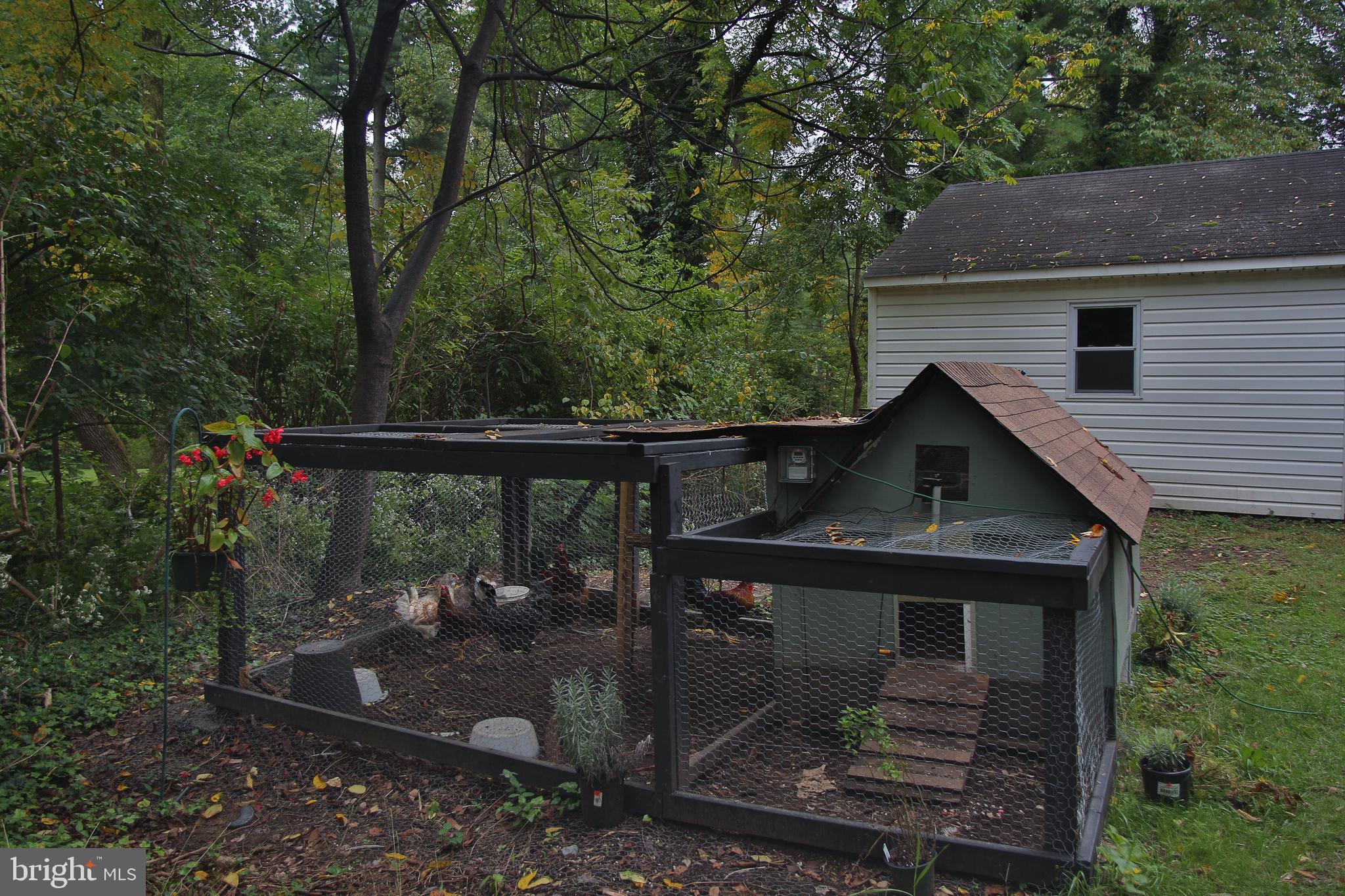 213 Hewett Road Wyncote, PA 19095 - Photo 38 of 40 Chicken coop included with sale