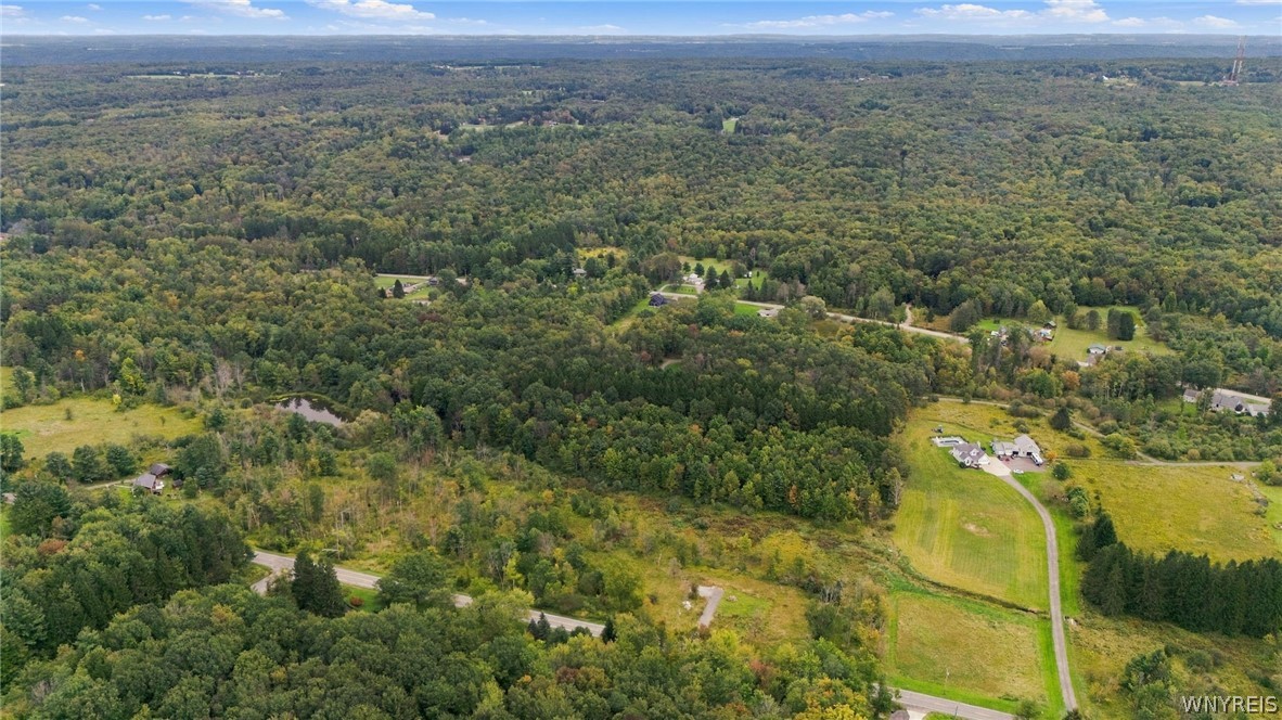 8049 Irish Road Colden, NY 14033 - Photo 11 of 30 Gallery Image 11
