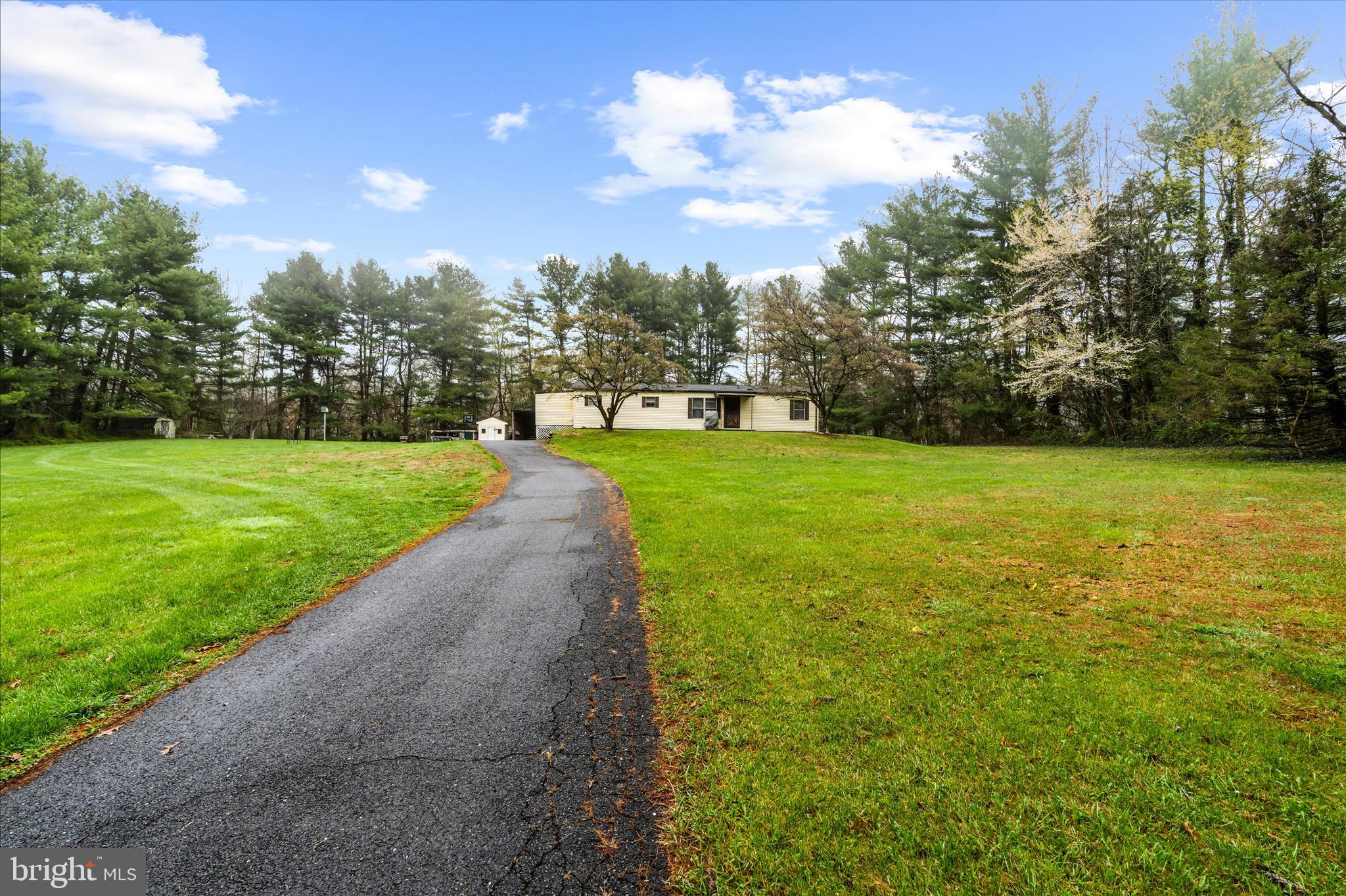 151 Darlington Road Havre de Grace, MD 21078 - Photo 7 of 46 a view of a trees with a yard