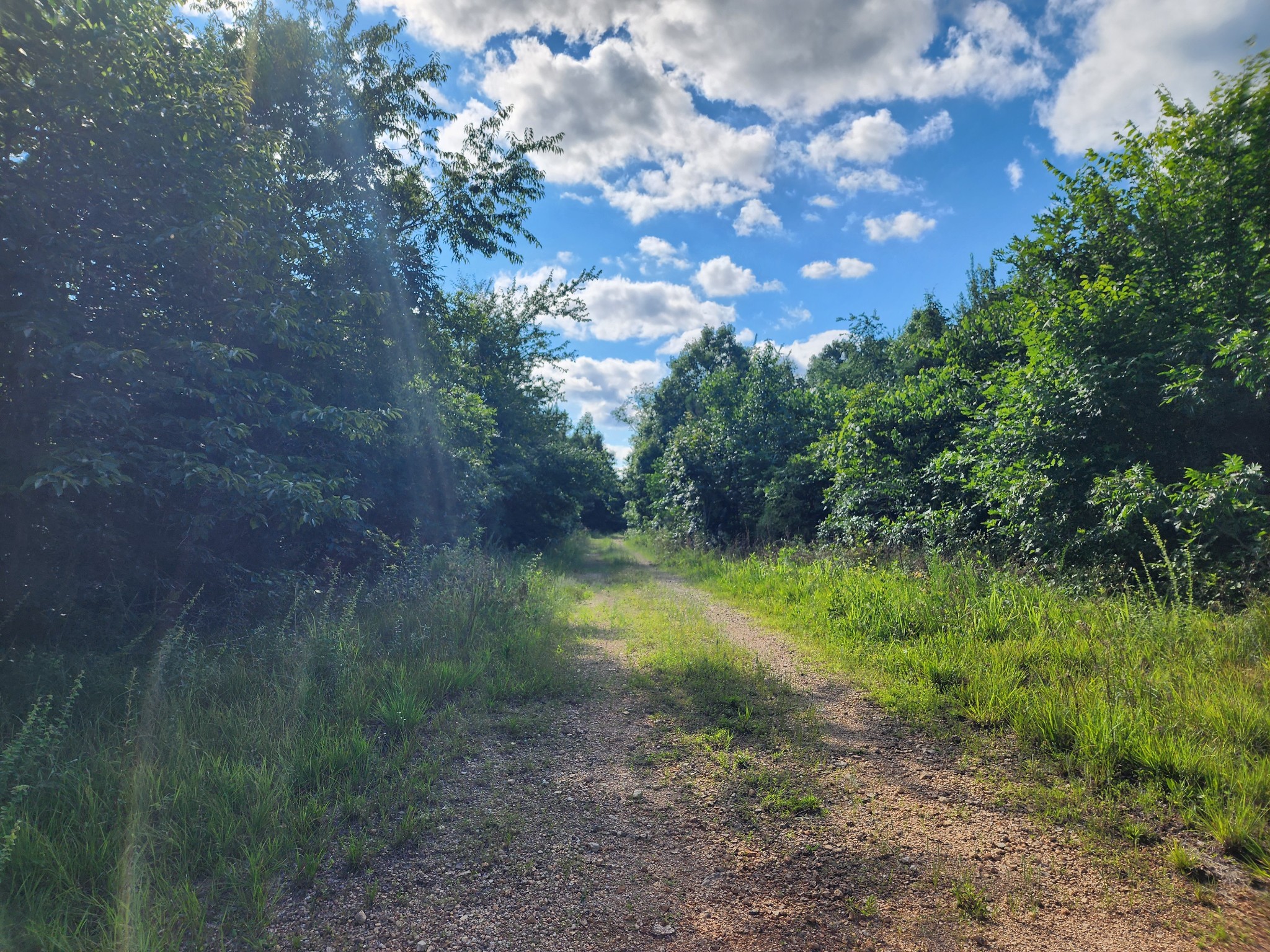 0 Sinking Creek Road Linden, TN 37096 - Photo 12 of 23