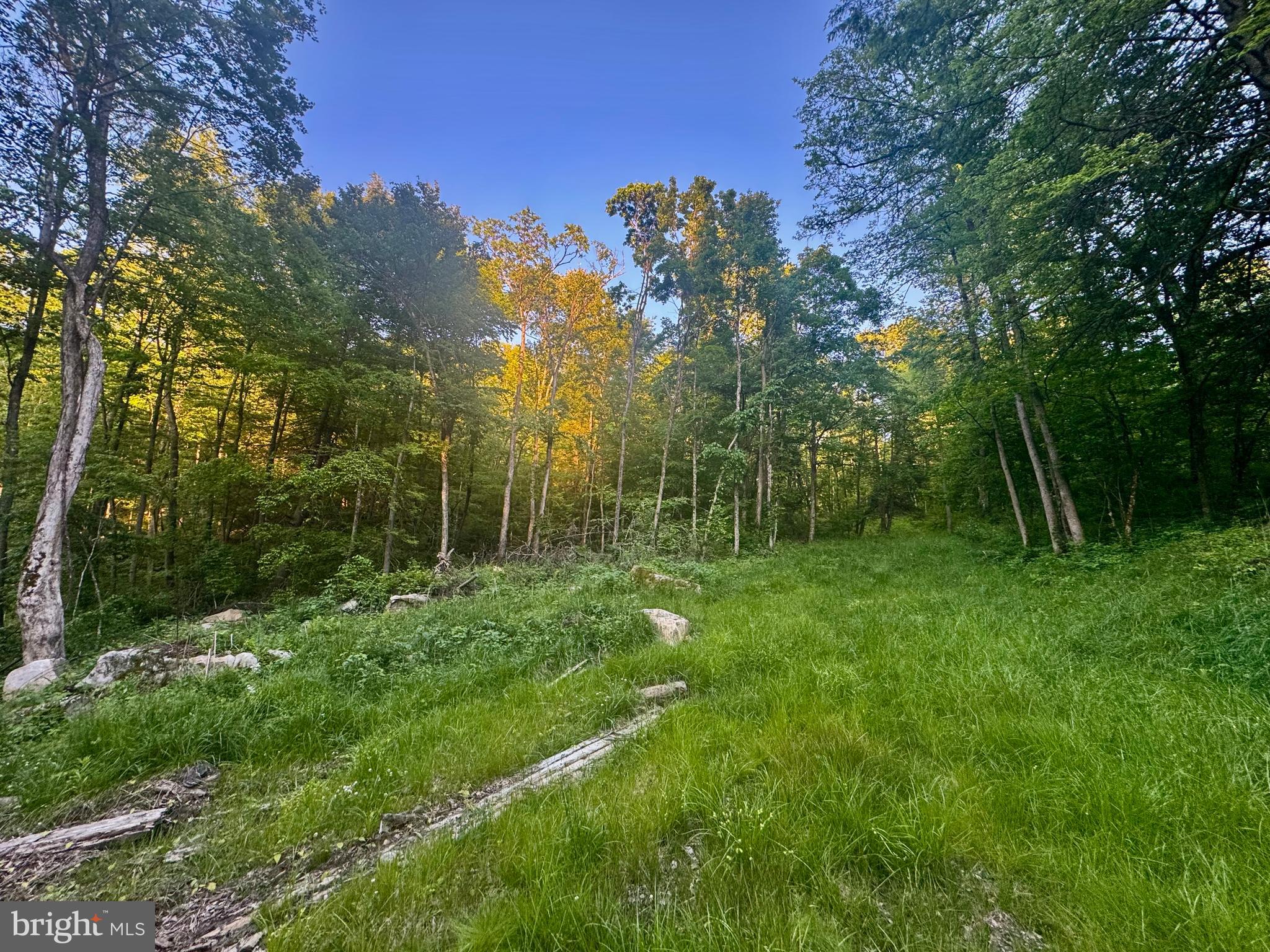 Tract B John Orr Road Independence, WV 26374 - Photo 2 of 30