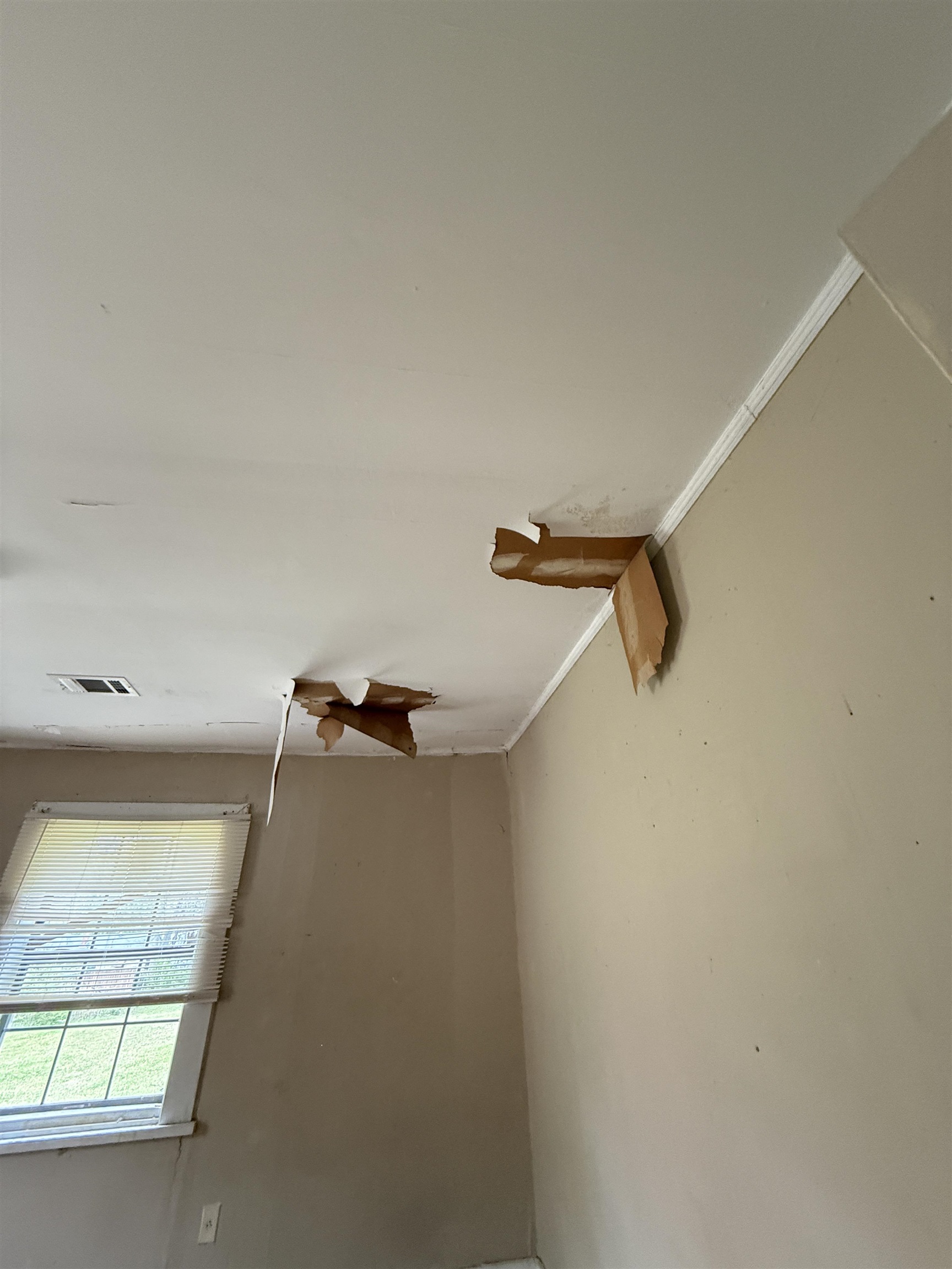 66 East Rollins Road Memphis, TN 38109 - Photo 19 of 31 Detailed view of ornamental molding