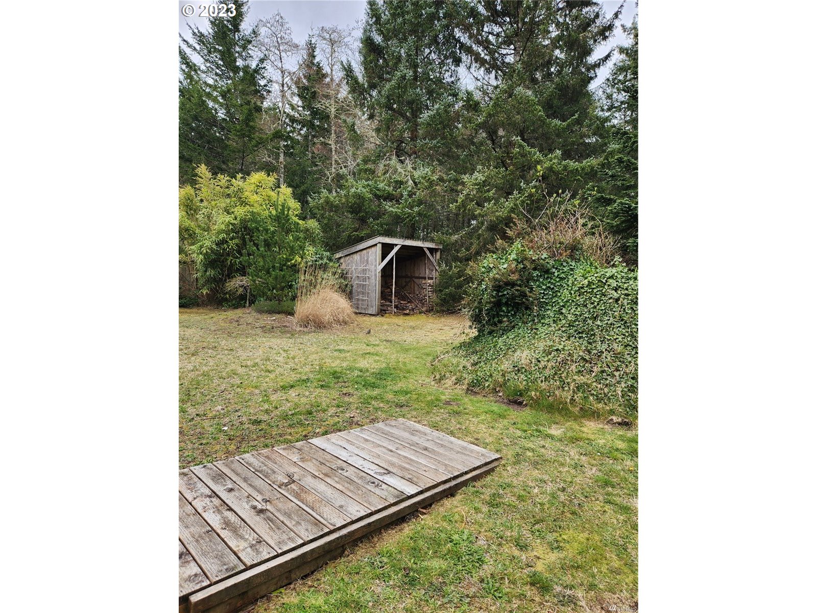 18212 Sandridge Road Long Beach, WA 98631 - Photo 4 of 22 Gallery Image 4