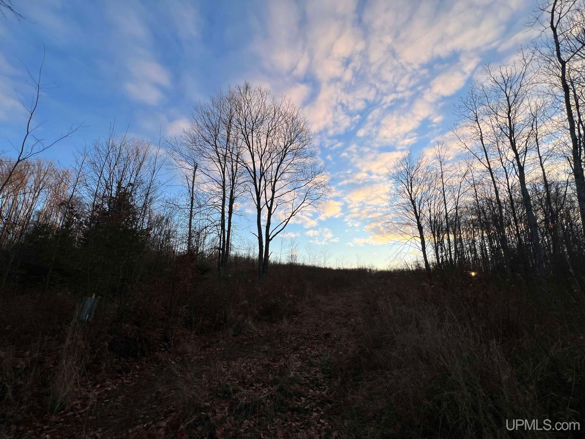 M26 M 5 Road Felch, MI 49831 - Photo 9 of 12