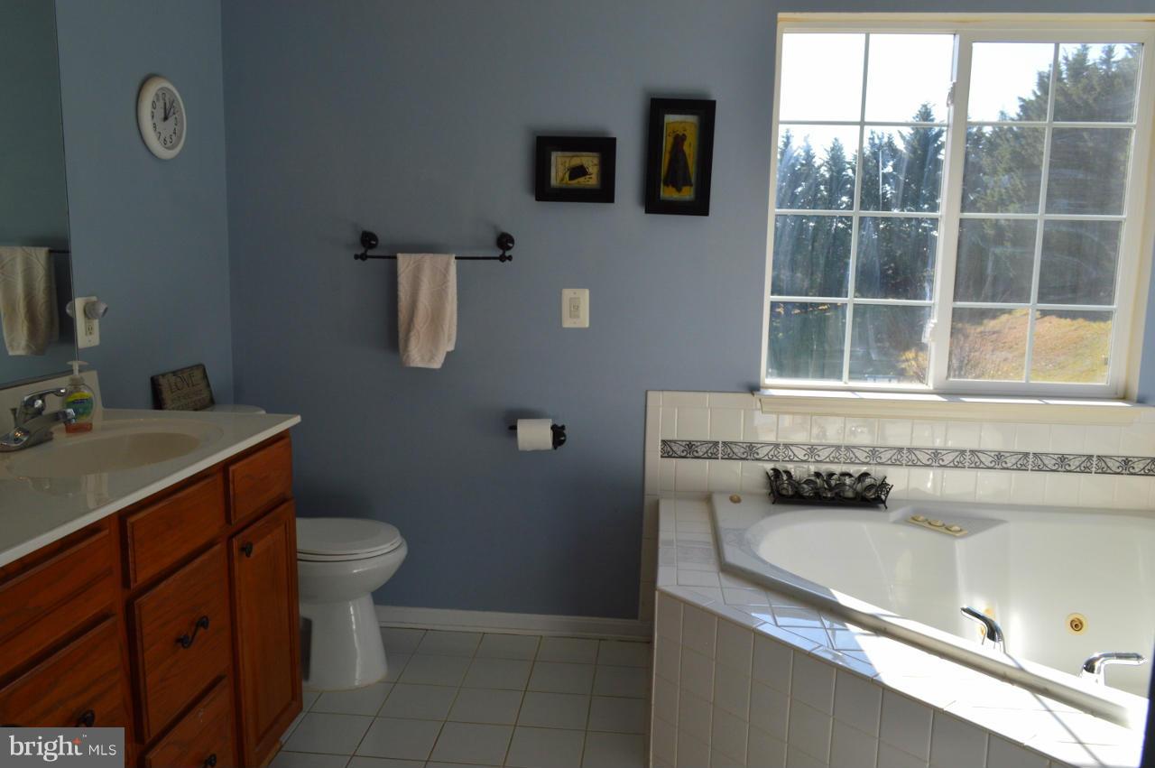 828 Fox Den Road Culpeper, VA 22701 - Photo 23 of 30 Bath (Master)
